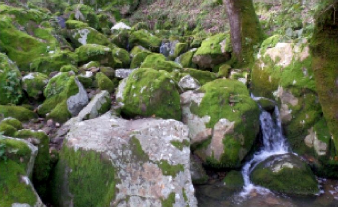 paisaje